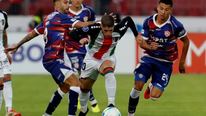 union-palestino- unión palestino